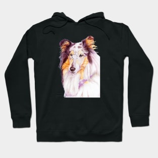 Collie - blue merle Hoodie